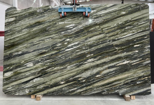 TEXTA TROPICAL FASHION