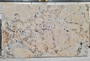 TEXTA PATAGONIA - 000024