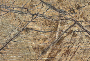 MARMORE RAIN FOREST YELLOW/GOLD