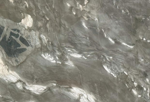 TEXTA GREEN CAMOUFLAGE